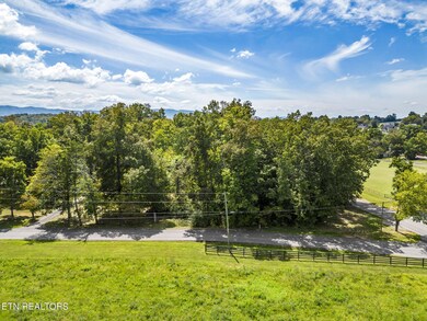 4-web-or-mls-DJI_0013