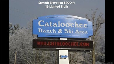 Across Hwy 19 and up the mountain to Cataloochee S