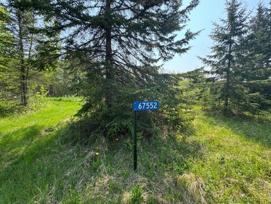 67552 Tranquility Trail, Effie, MN 56639 - photo 6