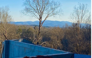 Additional View