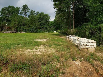 30711 Collier Smith Rd, Magnolia, TX 77354 - photo 4