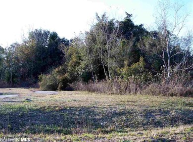 0 Northshore Dr unit 264685, Gulf Shores, AL 36542 - photo 6