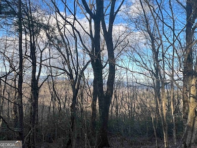 0 Daybreak Rd unit 10656893, Cleveland, GA 30528 - photo 7