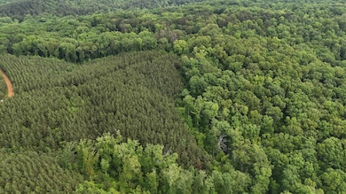 0 0 Cr 323 & Cr 310, Iuka, MS 38852 - photo 3