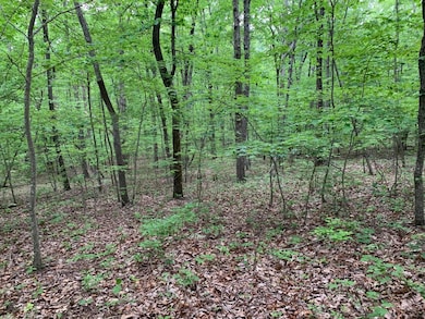 000 Stewart Ln, Rising Fawn, GA 30738 - photo 2