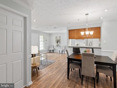 12201 Saint Peter Ct unit A, Germantown, MD 20874 - photo 6