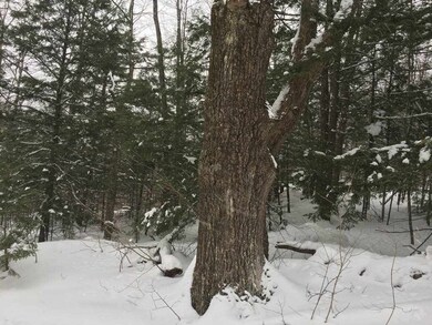 0 Bridgewater Hill Rd, Bridgewater, NH 03222 - photo 4