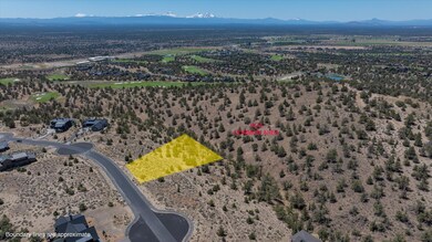 5-20240629LOT700 JILL ROSELL
