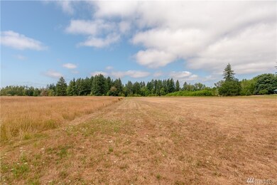 0 Howe Rd unit 1337679, Toledo, WA 98591 - photo 5