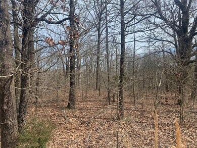 0 Kings Lynn Ln unit 1143367, Bella Vista, AR 72715 - photo 3