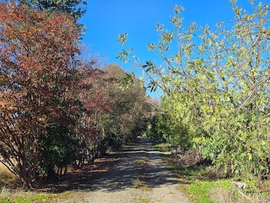 832 Old Hwy 99 W, Arbuckle, CA 95912 - photo 7