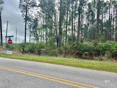 0 Bermuda Ln unit 4 372651, Seminole, AL 36574 - photo 3