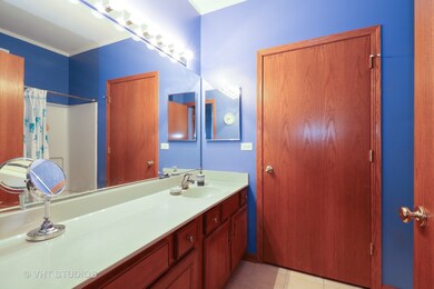 10235 Mulberry Ln unit A, Bridgeview, IL 60455 - photo 4