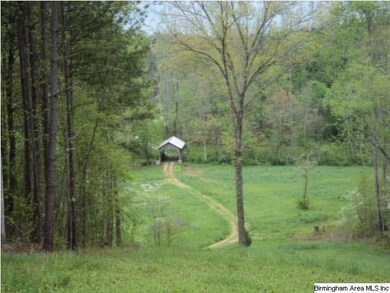 View of the bridge from a great Home Site.
