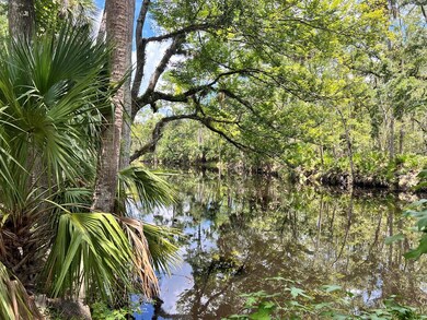 1528 NE Palm St, Steinhatchee, FL 32359 - photo 7