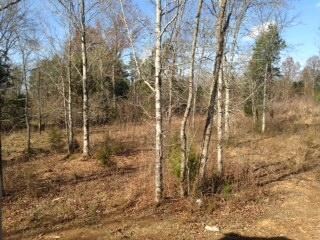 Get away from it all and enjoy the view from your back deck.