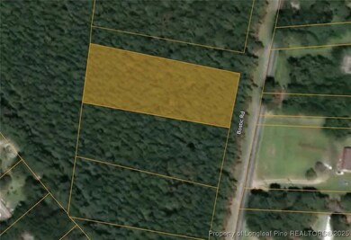TBD Bostic (Lot 11) Rd, Laurinburg, NC 28352 - photo 3