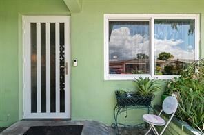 Hurricane Impact Door
