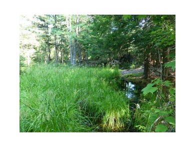 0 Stonewood Ln, Parsonsfield, ME 04047 - photo 6