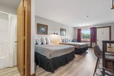 982 Indian Point Rd unit 313, Branson, MO 65616 - photo 5