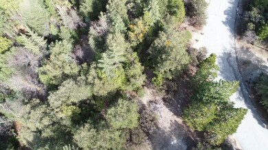 The Lot from above