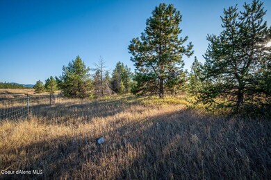 NNA Arden Ln Lot 2, Athol, ID 83801 - photo 3