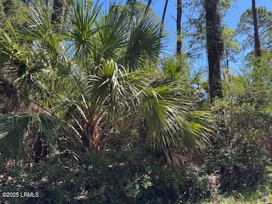 21 Lakeview Ln, Saint Helena Island, SC 29920 - photo 4