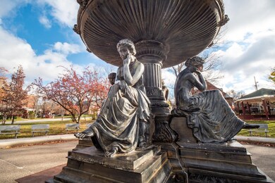 Carousel Image