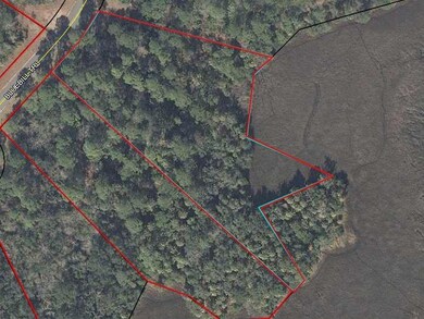 179 Bluebill Trail, Brunswick, GA 31523 - photo 2