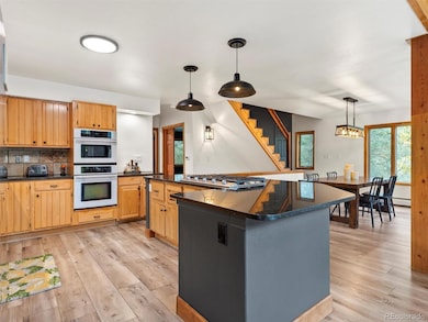 9459 S Turkey Creek Rd, Morrison, CO 80465 - photo 6