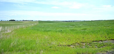 TBD Stuart Rd, Orofino, ID 83544 - photo 7