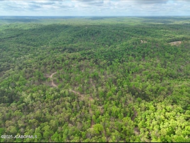 Lot 3 State Aa Rd, Roach, MO 65787 - photo 2