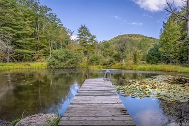 101 Lackawack Hill Rd, Napanoch, NY 12458 - photo 6