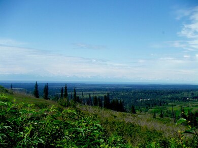 64965 Knob Hill Rd, Anchor Point, AK 99556 - photo 2