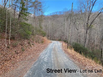 Lot 117 Sanderling Ct, Lake Lure, NC 28746 - photo 4