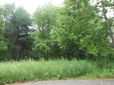 1 Davis Ct, Stroudsburg, PA 18360 - photo 4