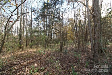 Lot 3 6.5+/-AC Bookout Rd, Rock Hill, SC 29730 - photo 6