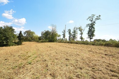 0 Moore Hollow Rd unit RTC3000716, Indian Mound, TN 37079 - photo 5