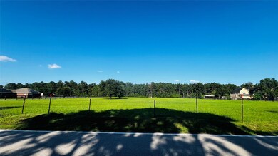 16998 Steinhagen Rd, Cypress, TX 77429 - photo 3