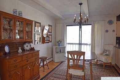 54 Cedar Ln, Rhinebeck, NY 12572 - photo 5