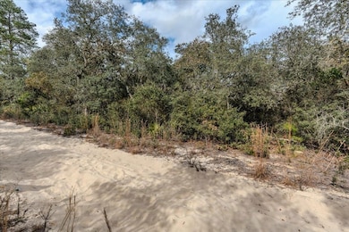 0 NE 233rd Ln unit 25700426, Fort Mc Coy, FL 32134 - photo 6