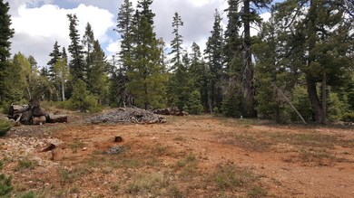 1070 W Cascade Dr unit D-60, Duck Creek Village, UT 84762 - photo 5