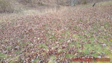 3750 State Highway 1643, Somerset, KY 42501 - photo 6