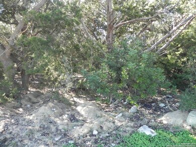 8603 Terra Mont Way, San Antonio, TX 78255 - photo 7