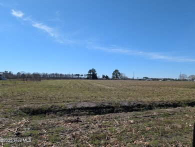 PXL_20250217_170947709