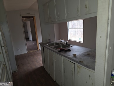 650 Wildcat Rd, Buchanan, GA 30113 - photo 7