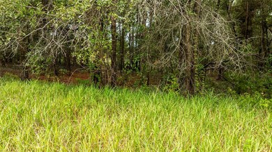 00 SW 204th Ct, Dunnellon, FL 34431 - photo 7