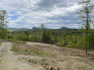 0 Long View Ln unit 2 4809138, Westmore, VT 05860 - photo 7