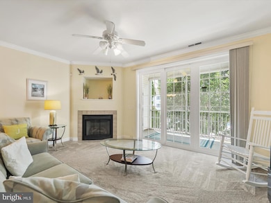 30611 Cedar Neck Rd unit 2204, Ocean View, DE 19970 - photo 3