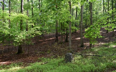Additional View